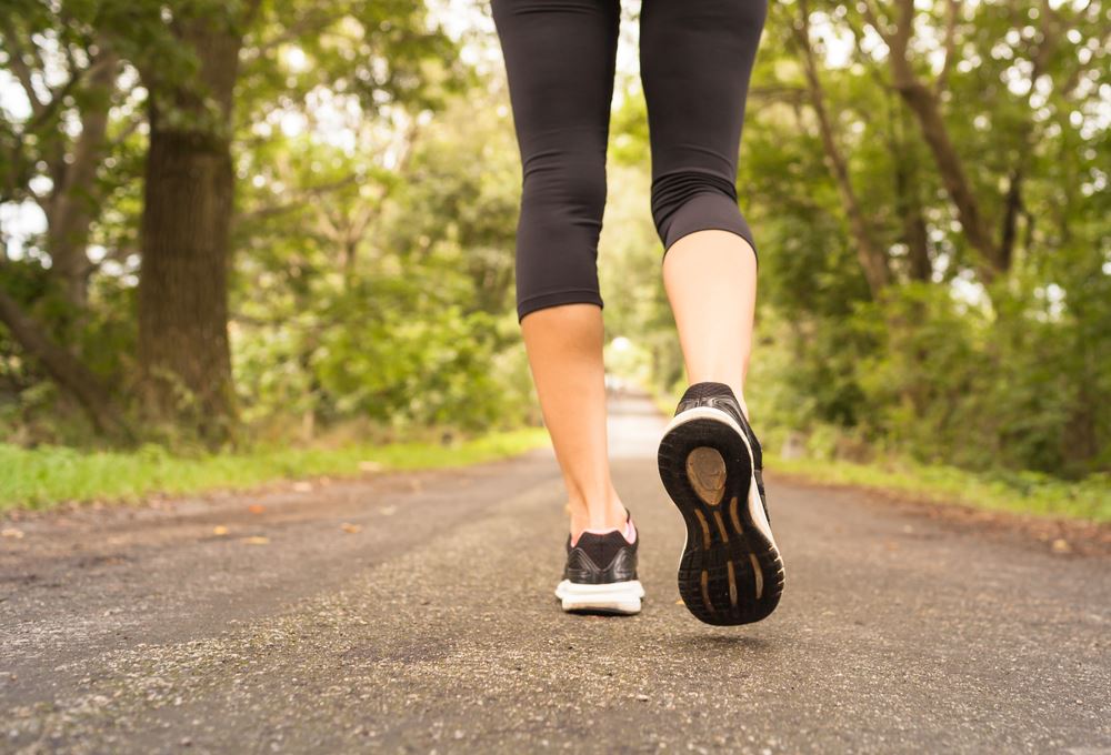 walking in the woods legs & feet