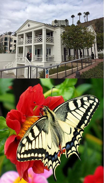 sylviabeachhouse trip